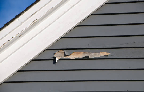 How To Choose The Right Materials for Your Siding Installation in 'Crookston, MN